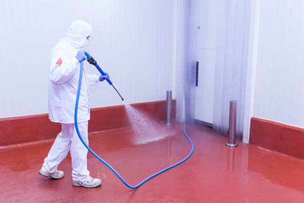 Best House Exterior Washing  in Merrydale, LA